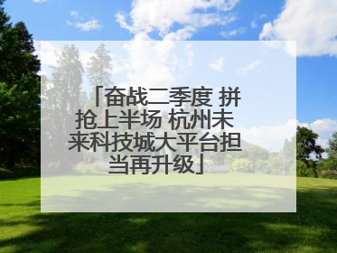 奋战二季度 拼抢上半场 杭州未来科技城大平台担当再升级