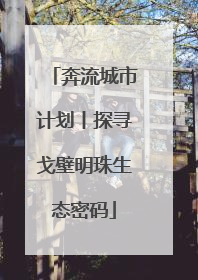 奔流城市计划丨探寻戈壁明珠生态密码