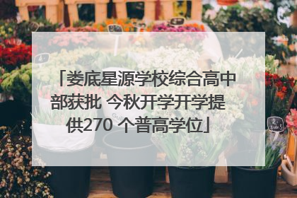 娄底星源学校综合高中部获批 今秋开学开学提供270 个普高学位