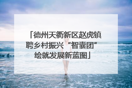 德州天衢新区赵虎镇聘乡村振兴“智囊团” 绘就发展新蓝图