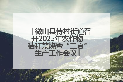 微山县傅村街道召开2025年农作物秸秆禁烧暨“三夏”生产工作会议