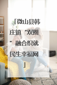 微山县韩庄镇“双圈”融合织就民生幸福网