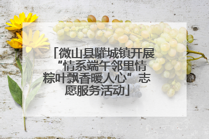 微山县驩城镇开展“情系端午邻里情 粽叶飘香暖人心”志愿服务活动