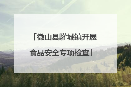 微山县驩城镇开展食品安全专项检查