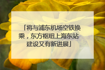 将与浦东机场空铁换乘，东方枢纽上海东站建设又有新进展