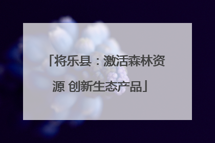 将乐县：激活森林资源 创新生态产品