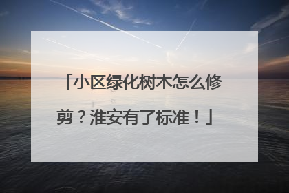 小区绿化树木怎么修剪？淮安有了标准！