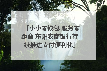 小小零钱包 服务零距离 东阳农商银行持续推进支付便利化