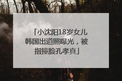 小沈阳18岁女儿韩国出道照曝光，被指撞脸孔孝真