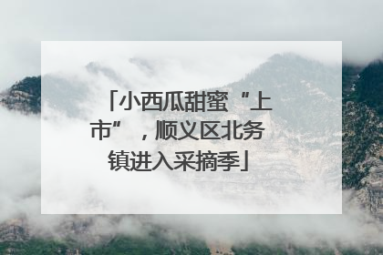 小西瓜甜蜜“上市”，顺义区北务镇进入采摘季