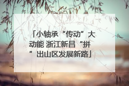 小轴承“传动”大动能 浙江新昌“拼”出山区发展新路