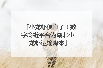 小龙虾便宜了！数字冷链平台为湖北小龙虾运输降本