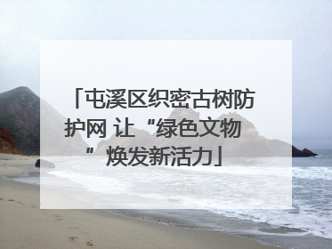 屯溪区织密古树防护网 让“绿色文物”焕发新活力