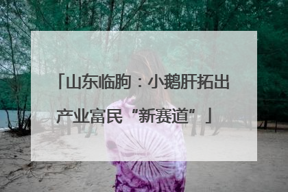 山东临朐：小鹅肝拓出产业富民“新赛道”