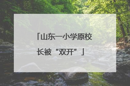 山东一小学原校长被“双开”