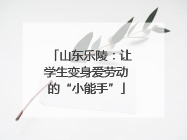 山东乐陵：让学生变身爱劳动的“小能手”