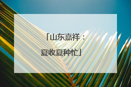 山东嘉祥：夏收夏种忙
