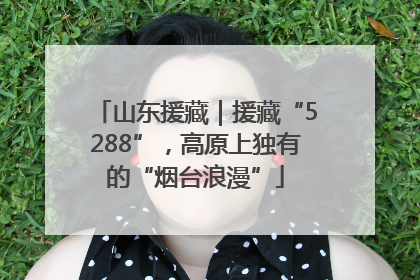 山东援藏｜援藏“5288”，高原上独有的“烟台浪漫”
