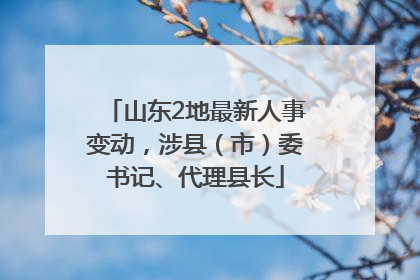 山东2地最新人事变动，涉县（市）委书记、代理县长