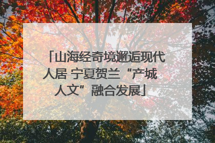 山海经奇境邂逅现代人居 宁夏贺兰“产城人文”融合发展