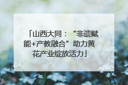 山西大同：“非遗赋能+产教融合”助力黄花产业绽放活力
