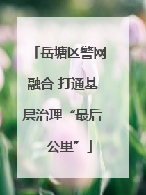 岳塘区警网融合 打通基层治理“最后一公里”