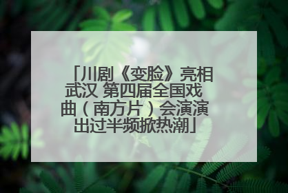 川剧《变脸》亮相武汉 第四届全国戏曲（南方片）会演演出过半频掀热潮