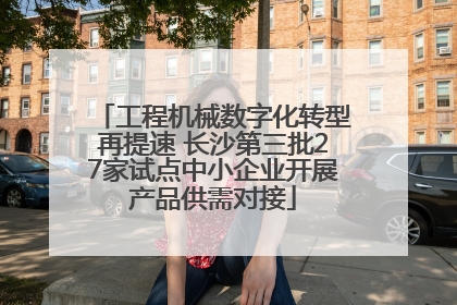 工程机械数字化转型再提速 长沙第三批27家试点中小企业开展产品供需对接