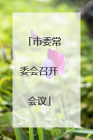市委常委会召开会议
