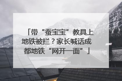 带“蚕宝宝”教具上地铁被拦？家长喊话成都地铁“网开一面”