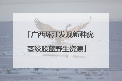 广西环江发现新种疣茎绞股蓝野生资源