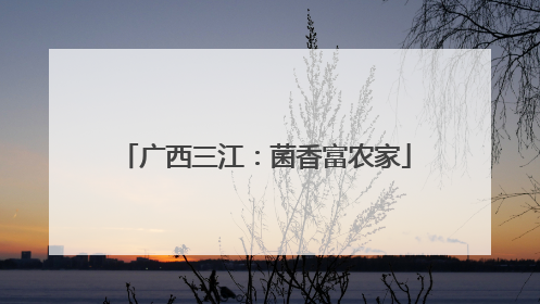 广西三江：菌香富农家