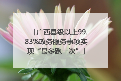 广西县级以上99.83%政务服务事项实现“最多跑一次”