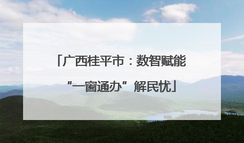 广西桂平市：数智赋能“一窗通办”解民忧