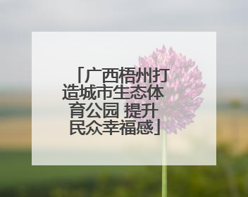 广西梧州打造城市生态体育公园 提升民众幸福感