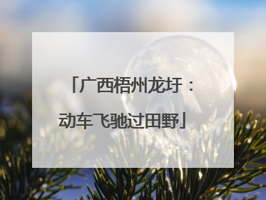 广西梧州龙圩：动车飞驰过田野