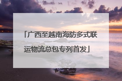 广西至越南海防多式联运物流总包专列首发
