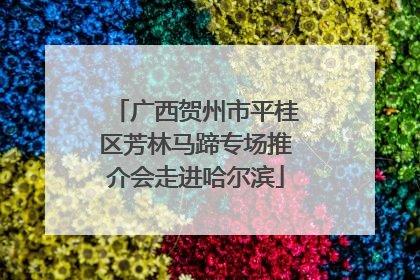 广西贺州市平桂区芳林马蹄专场推介会走进哈尔滨