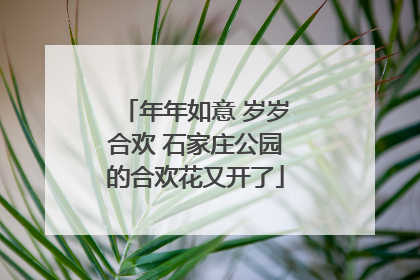 年年如意 岁岁合欢 石家庄公园的合欢花又开了