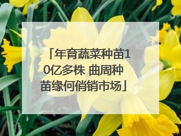 年育蔬菜种苗10亿多株 曲周种苗缘何俏销市场
