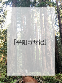 平阳寻琴记