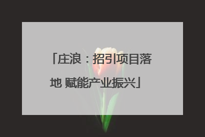 庄浪：招引项目落地 赋能产业振兴