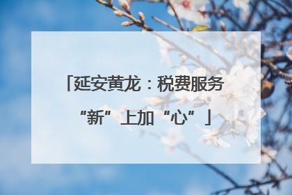 延安黄龙：税费服务“新”上加“心”