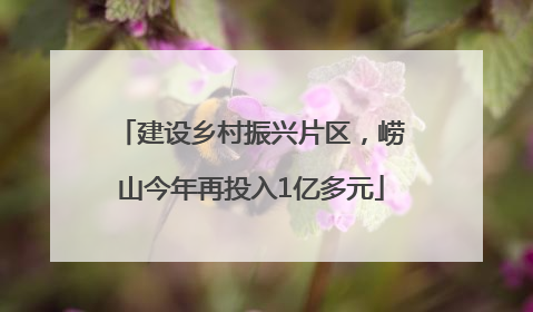 建设乡村振兴片区，崂山今年再投入1亿多元