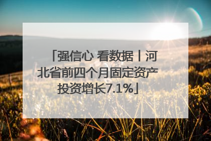 强信心 看数据丨河北省前四个月固定资产投资增长7.1%