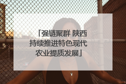 强链聚群 陕西持续推进特色现代农业提质发展