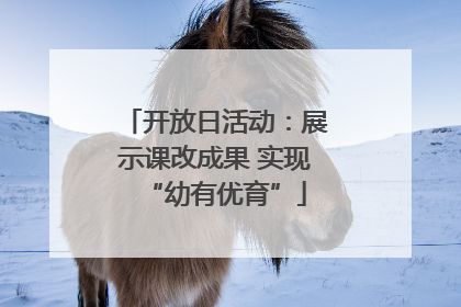 开放日活动：展示课改成果 实现“幼有优育”