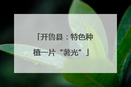 开鲁县：特色种植一片“薯光”