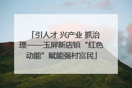 引人才 兴产业 抓治理——玉屏新店镇“红色动能”赋能强村富民
