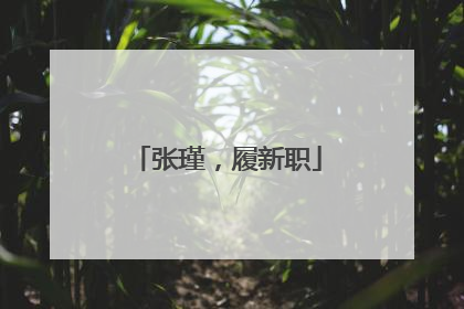 张瑾，履新职
